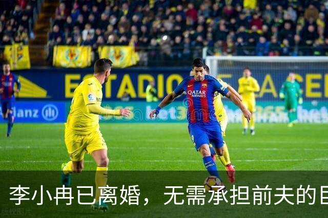 李小冉已离婚，无需承担前夫的巨额债务，法律边界清晰，提前布局守住了自身权益